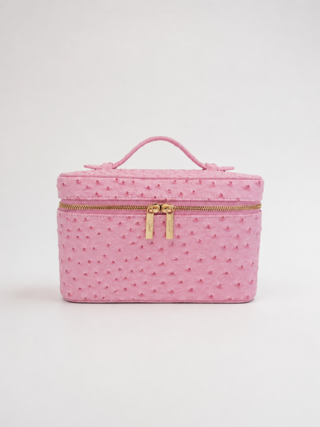 Medium Signature Vanity Bag (Pink Ostrich)